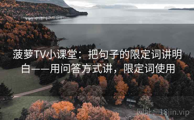 菠萝TV小课堂：把句子的限定词讲明白——用问答方式讲，限定词使用